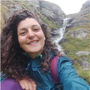 Storia dell'arte e storia